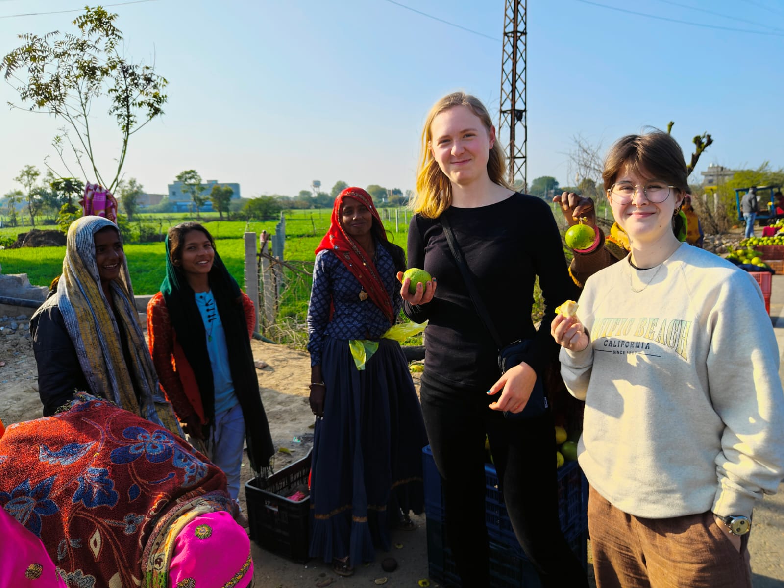 Rajasthan Tour Image