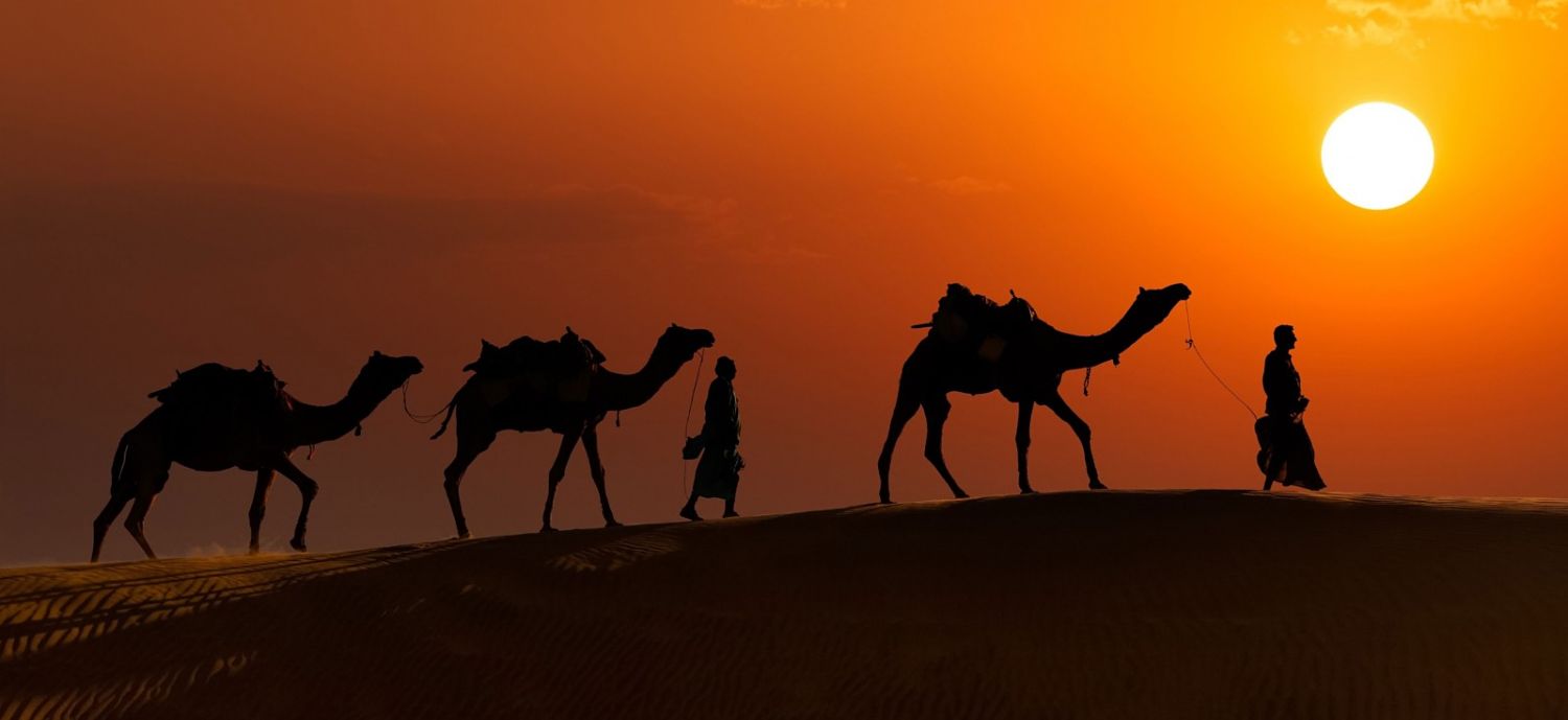 Rajasthan Discovery